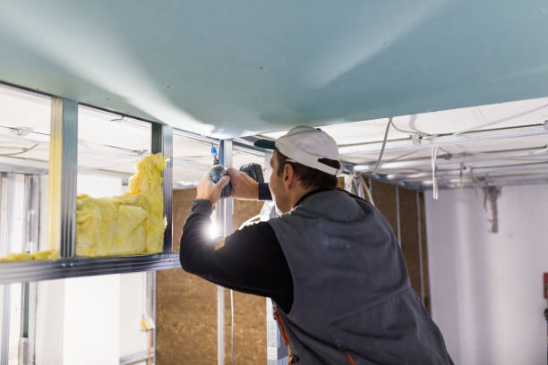 Cahokia, IL Insulation Contractor Company